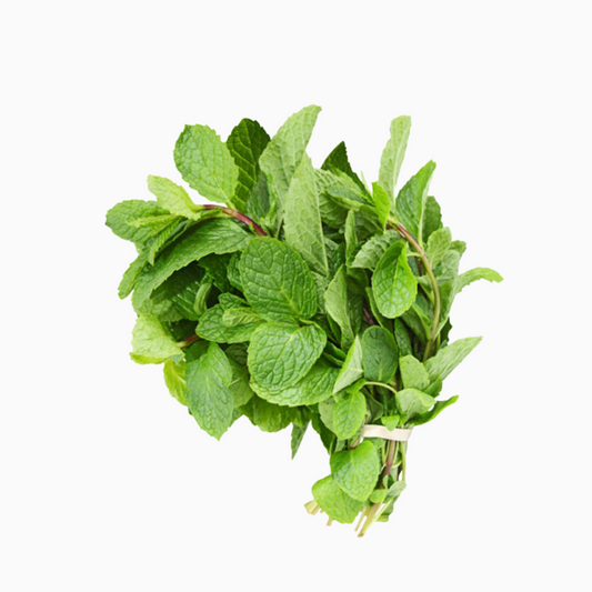 Basil