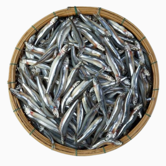 Vietnamese Anchovy