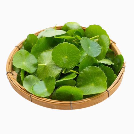 Pennywort