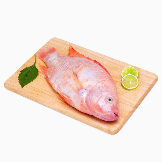 Red Tilapia (Large)