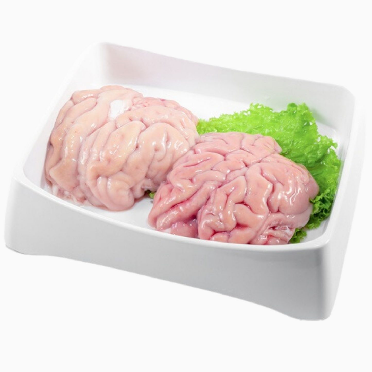 Pig Brain